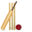 Cricket World Cup