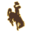 Wyoming